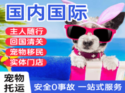 湘西边城航空运输国际宠物托运 【国